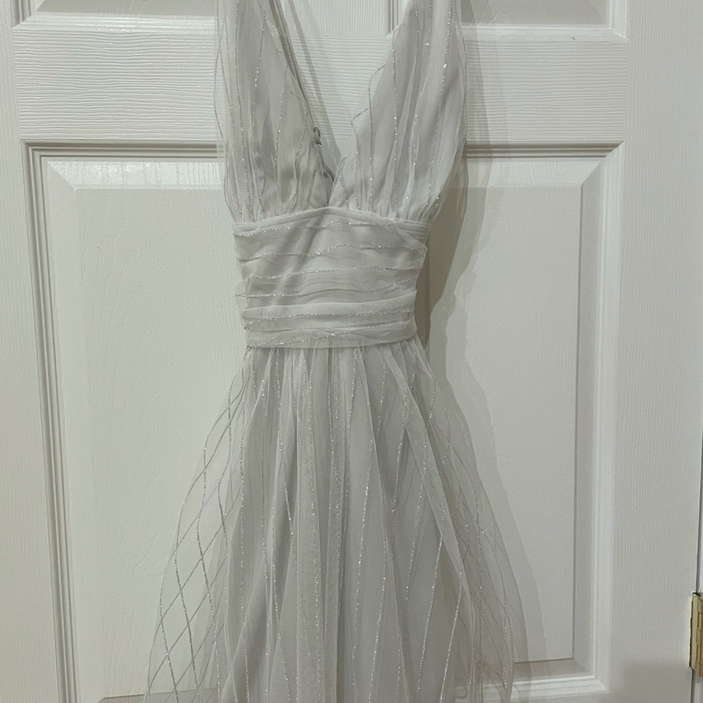 Lucy in the Sky silver mini dress.